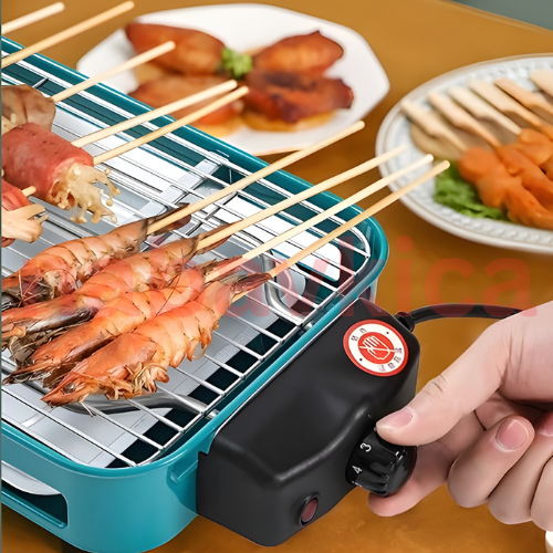 Prenosivi Električni Roštilj