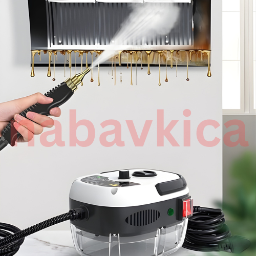 Prenosivi Čistač Na Paru